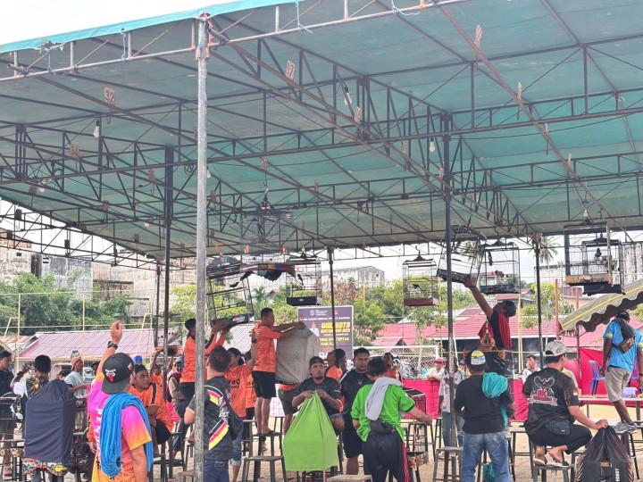 Ribuan Burung dan Ratusan Peserta Warnai Wali Kota Cup 2025 di Bontang