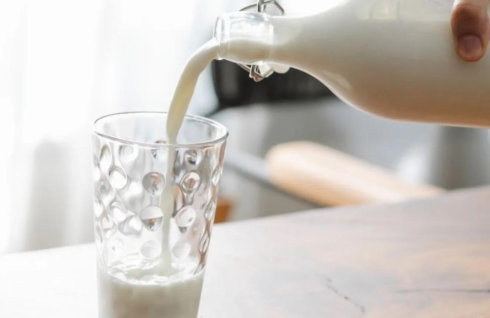 Bukan Cuma Yoghurt, 6 Makanan Ini Kandungan Kalsiumnya Lebih Tinggi