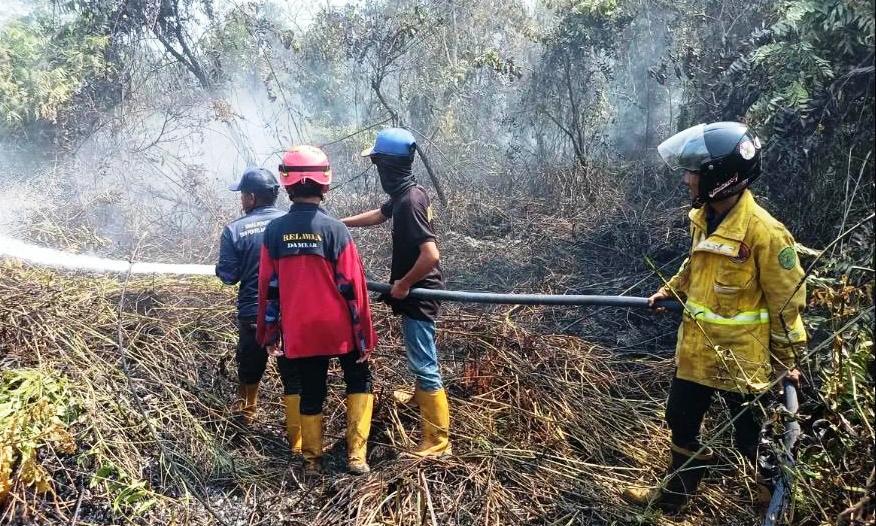Karhutla di Samarinda Makan Korban Jiwa,  BPBD Ungkap Peta Zona Rawan