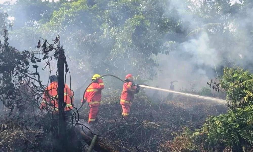 Karhutla Mengancam, 5 Wilayah Kaltim Jadi Fokus Pengawasan