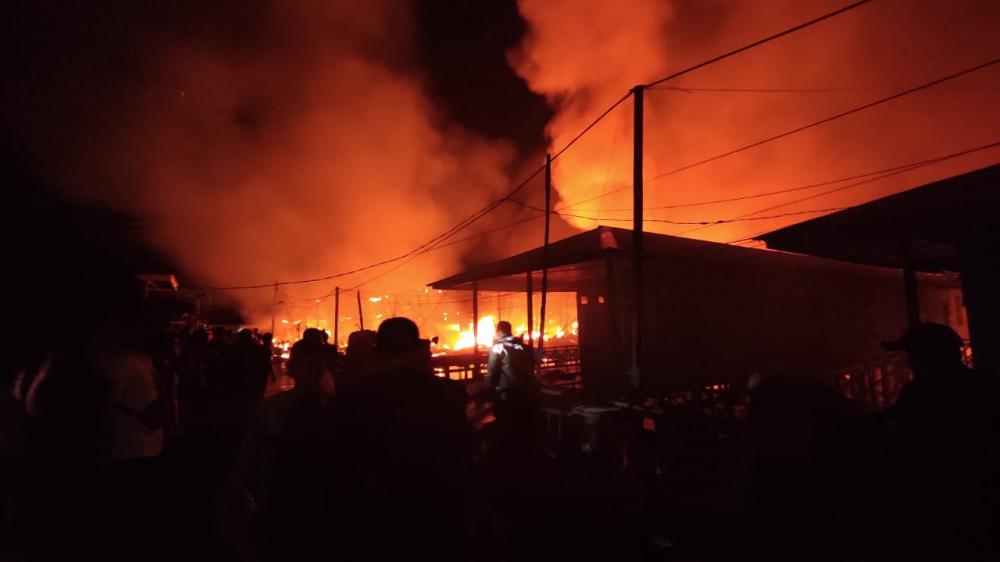 BREAKING NEWS : Si Jago Merah Mengamuk di Bontang Kuala