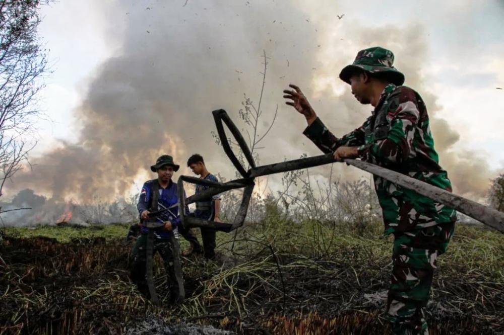 KLH Wanti-Wanti Karhutla Gambut Saat Kemarau, Kalimantan Masuk Wilayah Rentan