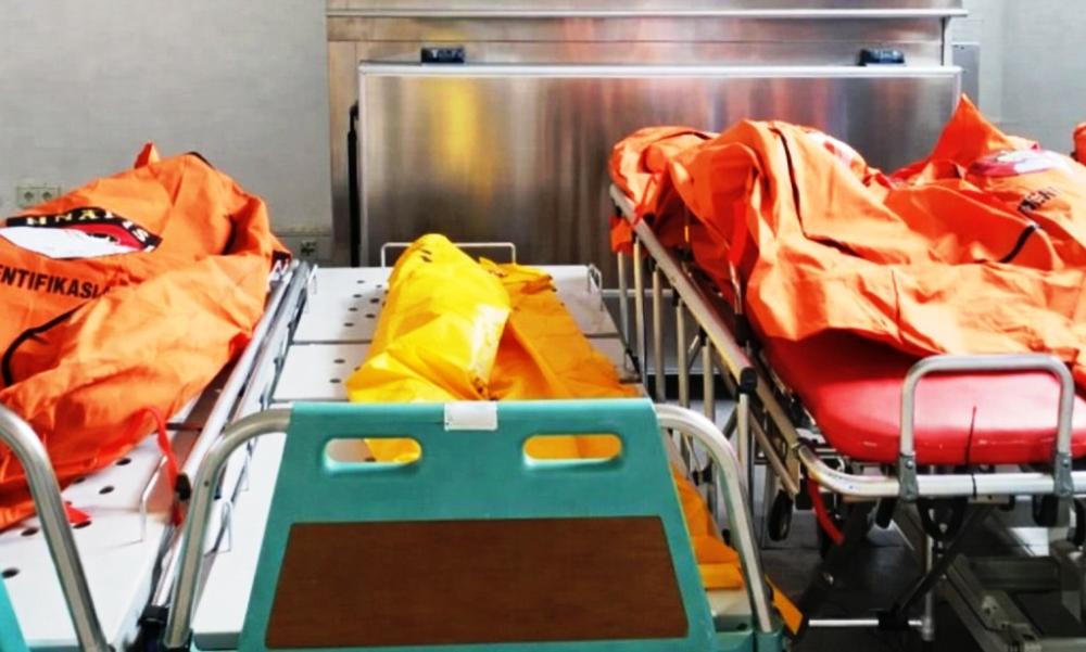 Sekeluarga Dibantai di Perbatasan Kaltim–Kalteng: Pondok Dibakar, 5 Tewas, Termasuk Bocah 