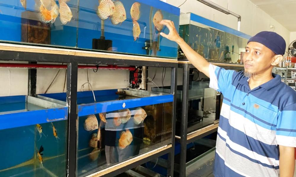 Lumbung Energi, Listrik Malah Padam: UMKM Balikpapan Makin Tekor 