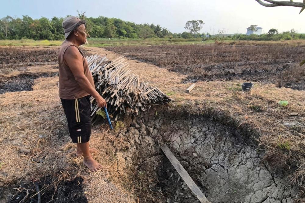 Produksi Beras di Kutai Timur Terancam, Kemarau Tunda Musim Tanam 