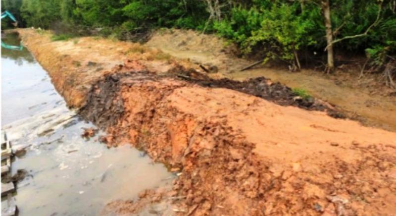 Pencemaran Lingkungan di Muara Badak, Pertamina Mulai Diselidiki 