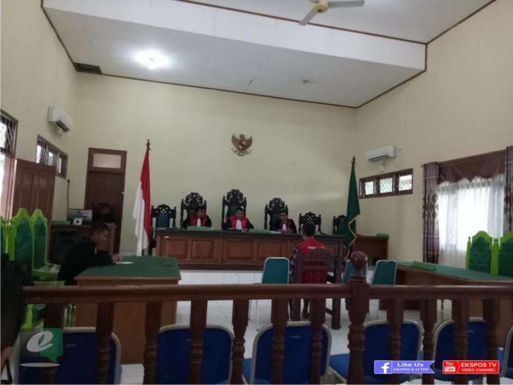 Nico Si Pemosting Babi Imut Dijerat 1 Tahun Penjara dan Denda Rp 5 Juta 