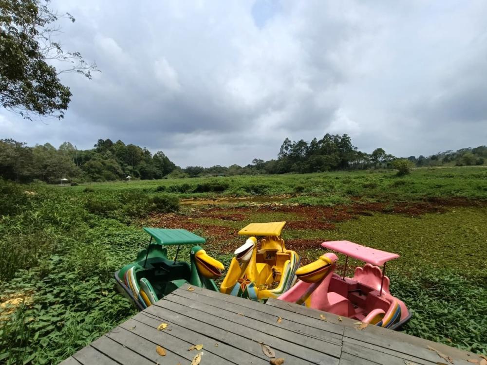 Waduk Manggar Diserbu Gulma, Wisata Air Balikpapan Kehilangan Separuh Pengunjung