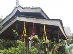 CIPTAKAN KENYAMANAN, PEMERINTAH BONTANG HIASI HALTE DENGAN TANAMAN