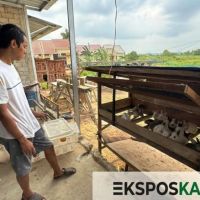 Dari Gerobak Kelinci Samarinda hingga Istana Merdeka, Kisah Tak Terduga Andre Kawaru  