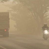 Kaltim dan Kalsel Terima Rp165 Miliar untuk Karhutla, Total Bantuan Capai Rp1,24 Triliun