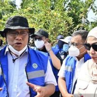 Di Balik Karhutla Kalimantan, 30-an Perusahaan Dibidik Tagihan Rp15 Triliun