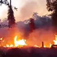 23 Kali Lahan Terbakar di Samarinda, BPBD: Ulah Manusia Jadi Pemicu 