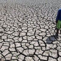 Rekor Baru, Juli 2026 Menjadi Bulan Terkering Sejak 1991 