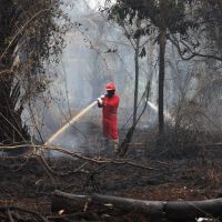 Cuaca Kaltim-Kalsel Kontras, Samarinda Berawan Sementara Banjarmasin Masih Berkabut