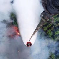 Enam Perusahaan di Kalimantan Kena Sanksi Karhutla, Satu dari Kalimantan Timur