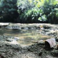 Bukan Ditambang, Karst Purba Dumaring Justru Jadi Mesin Ekonomi Warga Berau