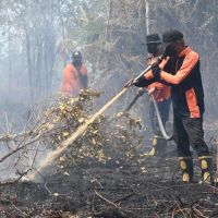Karhutla Kalsel Tembus 794 Hektare, Banjarbaru Jadi Episentrum Kebakaran