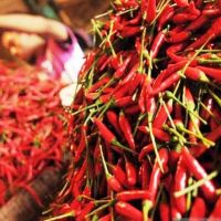 Cabai Rawit Merah Masih Pedas, Tembus Rp78.100 per Kilogram