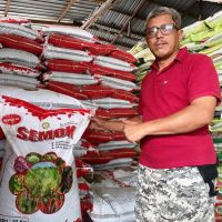 Laris di Jawa, Pupuk Organik "Semok" Justru Tak Terserap di Kaltim 