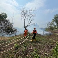 Diduga Dibakar Saat Cuaca Terik, Karhutla Hanguskan 0,54 Hektare di Kutim