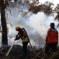 ISPA akibat Karhutla Tembus 333.470 Kasus, Udara Berbahaya Mengintai Kalimantan