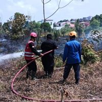 Karhutla Balikpapan Tembus 31 Titik, Semakin Dekati Hutan Lindung Sungai Wain