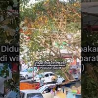 Viral Penembakan di Pelabuhan Speedboat Balikpapan, Polisi Amankan Pelaku dan Airgun