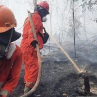 Karhutla Merebak di Penajam, Dua Hari Tembus 14 Kasus 