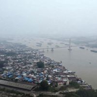Ketika kabut asap mengubah cahaya matahari bagi tanaman