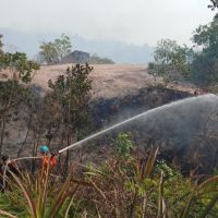 Karhutla Bontang Lestari Meluas hingga 15 Hektare, Api Mendekati Kawasan PT Badak LNG