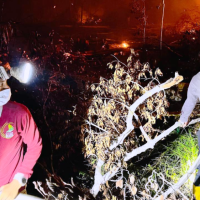 Polisi Jerat 9 Tersangka Karhutla di Kaltim, Luas Lahan Terbakar Capai 456 Hektare