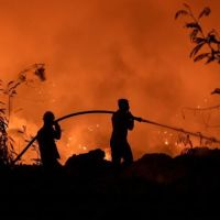 Karhutla Kaltim: Berapa Hektare Terbakar, Daerah Mana Paling Terdampak?
