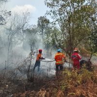 6,4 Hektare Semak dan Kebun Sawit di Nyerakat Kiri Bontang Terbakar, Pemadaman Butuh 3 Jam