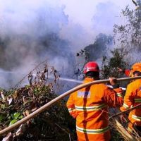 Mengapa Hutan Kaltim Mudah Terbakar? Akademisi Unmul: Bukan Cuaca Semata