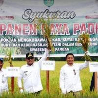 Kaltim Bidik Swasembada Beras 2026, Target Produksi 400 Ribu Ton per Tahun