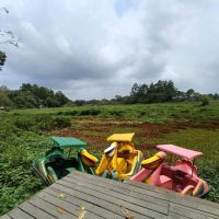 Waduk Manggar Diserbu Gulma, Wisata Air Balikpapan Kehilangan Separuh Pengunjung